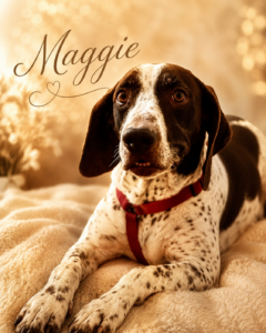 Maggie